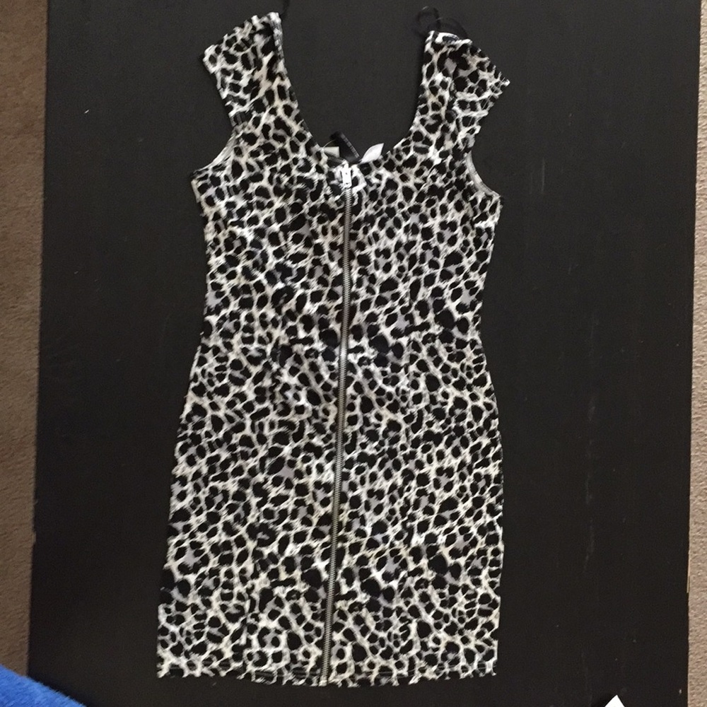 H&M Mini Animal Print Dress